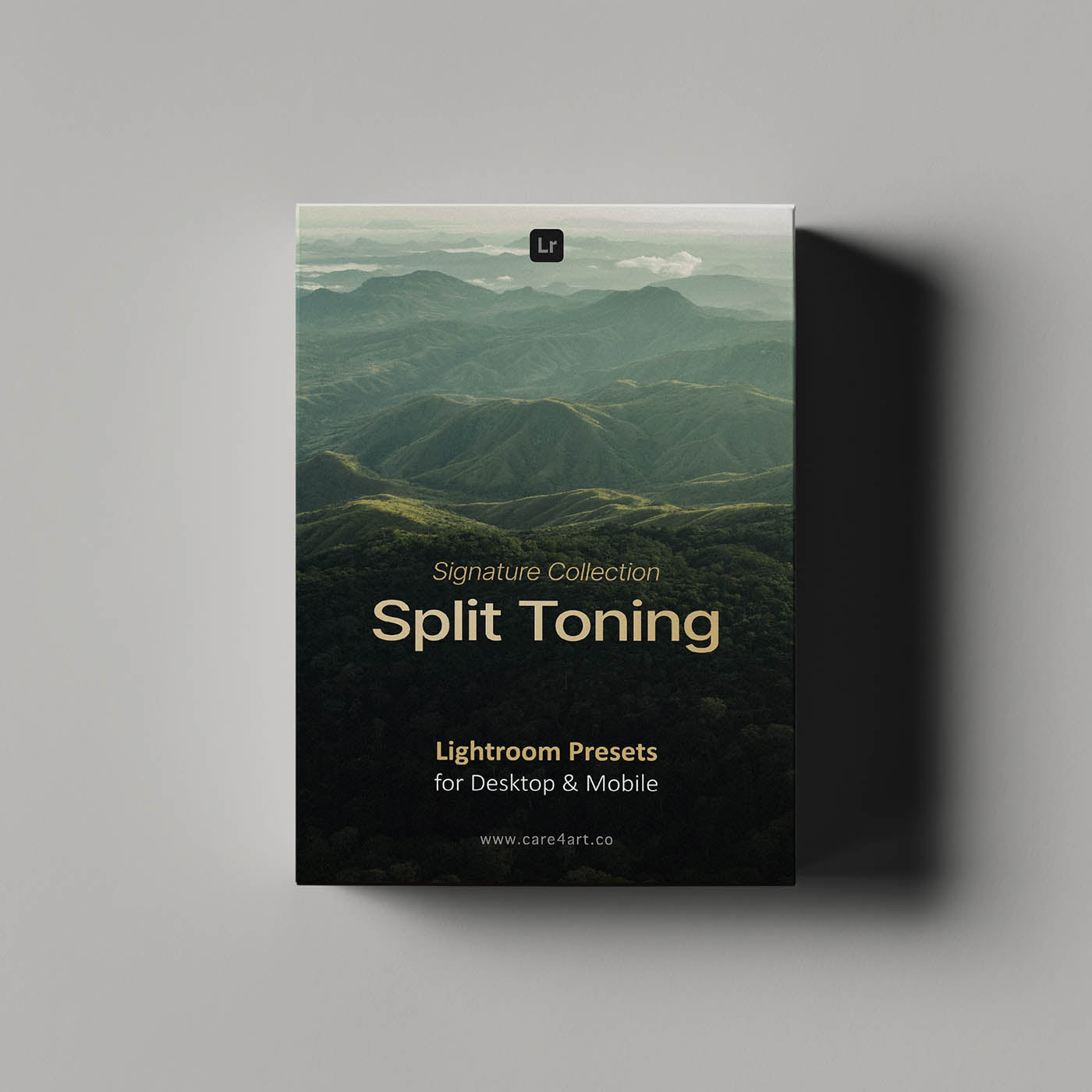 Signature Split-Toning Presets