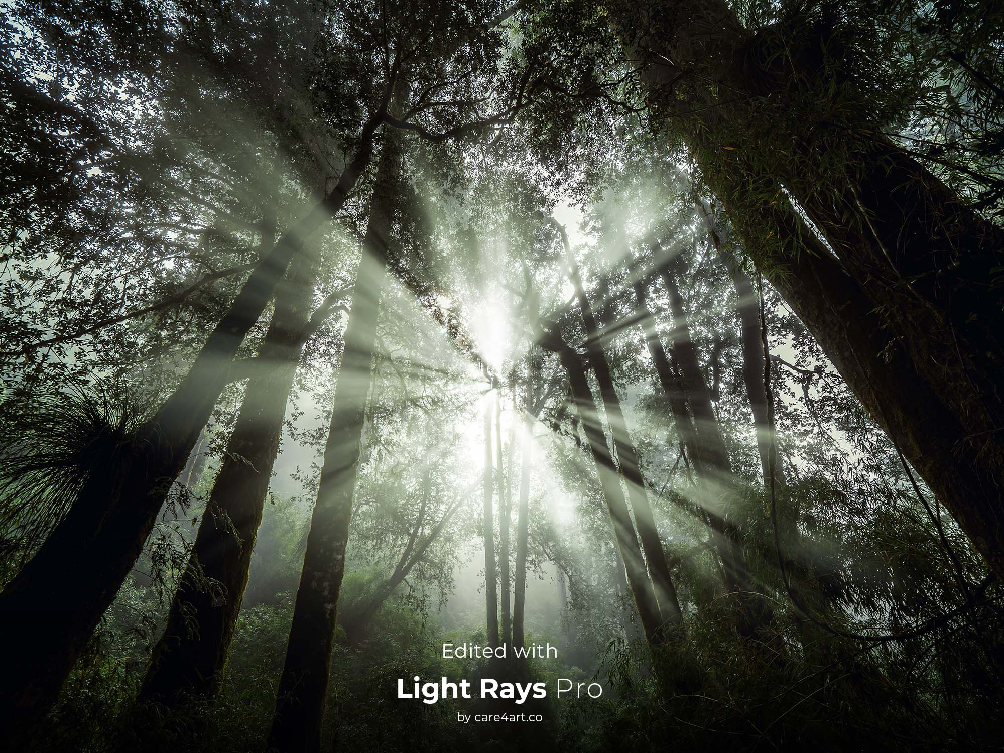 Light Rays Pro